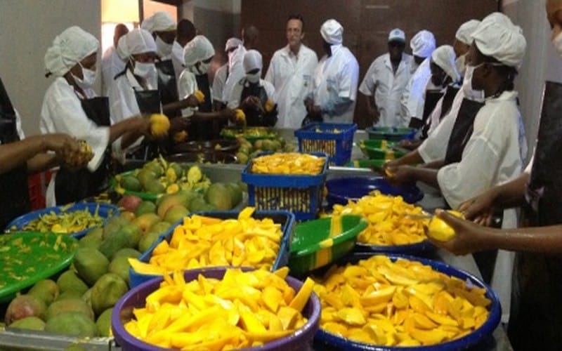 Activité Agroalimentaire TKN MULTISERVICES